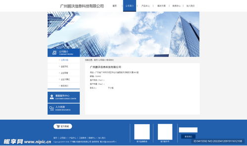 數(shù)字時代的企業(yè)形象與界面設計 從官網(wǎng)到電商平臺的視覺工程